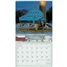 Cow 2026 Wall Calendar WCA100551